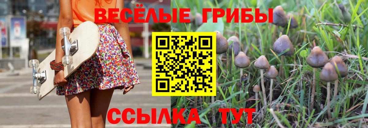 наркотики  Вход с VPN  Волхов  Псилоцибиновые грибы прущие грибы 