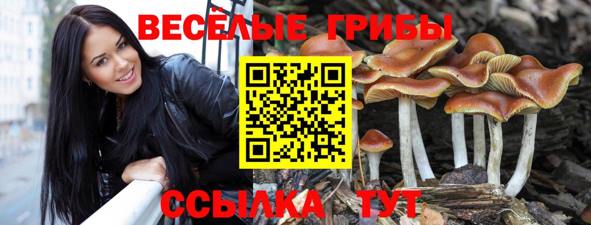 Псилоцибиновые грибы мухоморы Волхов