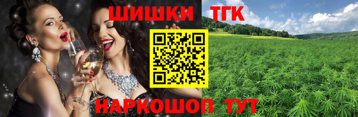 Бошки Шишки план Волхов